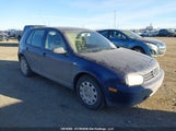 Volkswagen Golf Gls Tdi 9BWGR21J344027480 снимка