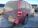 Ford Escape Xlt 1FMCU0DG7AKA28453 снимка