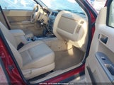 Ford Escape Xlt 1FMCU0DG7AKA28453 снимка
