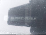 Kia Sedona Ex/Lx KNDMB233876146585 fotografie