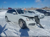Audi Q5 WA1DGCFP1DA067347 снимка