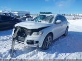 Audi Q5 WA1DGCFP1DA067347 fotografie