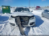 Audi Q5 WA1DGCFP1DA067347 photo