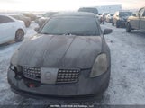 Nissan Maxima Se/Sl 1N4BA41E26C844092 снимка