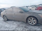 Nissan Maxima Se/Sl 1N4BA41E26C844092 снимка
