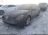 Nissan Maxima Se/Sl 1N4BA41E26C844092 снимка