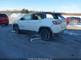 Jeep Compass Trailhawk 3C4NJDDN8PT550026 снимка