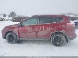 Toyota Rav4 Xle 2T3RFREV7JW824024 снимка