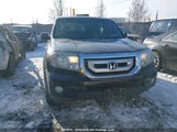 Honda Pilot Ex-L 5FNYF485X9B502134 снимка