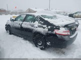 Toyota Camry Xle V6 4T1BK3EK3AU105572 photo