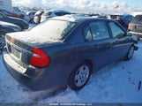 Chevrolet Malibu Lt 1G1ZT58FX7F119114 photo