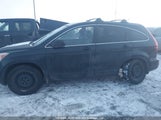 Honda Cr-V Exl 5J6RE48739L810925 photo