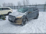 Ford Escape Se 1FMCU9GD4KUB36119 снимка