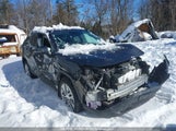 Toyota Rav4 Xle/Xle Premium 2T3R1RFV0MC162760 photo