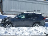 Toyota Rav4 Xle/Xle Premium 2T3R1RFV0MC162760 photo