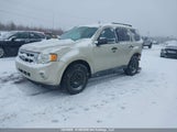 Ford Escape Xlt 1FMCU0DG4AKA61040 снимка