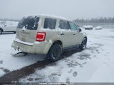 Ford Escape Xlt 1FMCU0DG4AKA61040 снимка