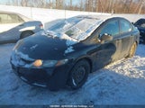 Honda Civic 2HGFA1F60BH007359 photo
