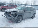 Jeep Cherokee Trailhawk 1C4PJMBS3HW627768 снимка