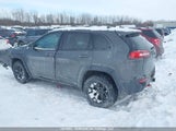Jeep Cherokee Trailhawk 1C4PJMBS3HW627768 снимка