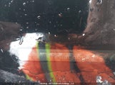 Honda Pilot 5FNYF6H95GB509262 снимка