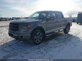 Ford F150 Supercrew 1FTFW1EF3DFC08081 снимка