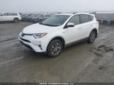Toyota Rav4 Hv Le Plus/Xle JTMRJREV1JD246319 fotografie