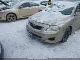 Toyota Corolla Le 2T1BU40E69C029716 снимка