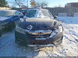 Honda Accord Ex-L V6 1HGCR3F83GA800783 photo