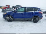 Ford Escape 1FMCU0GX1DUC28572 снимка