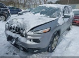 Jeep Cherokee Sport 1C4PJMAS3GW173876 fotografie