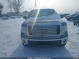 Ford F-150 Fx4/King Ranch/Lariat/Platinum/Xlt 1FTFW1ET6BFD17945 снимка
