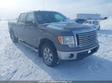 Ford F-150 Fx4/King Ranch/Lariat/Platinum/Xlt 1FTFW1ET6BFD17945 снимка
