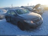 Toyota Corolla S/Le/Xle 2T1BU4EE5AC410261 снимка