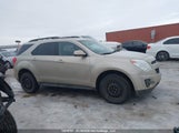 Chevrolet Equinox 1Lt 2GNFLFE37E6259887 снимка