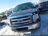 Ford F-150 1FTFX1ET8DFC96127 снимка