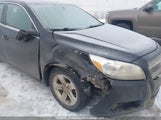 Chevrolet Malibu 1Lt 1G11C5SA6DU103560 снимка