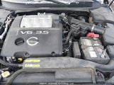 Nissan Maxima Se/Sl 1N4BA41E26C843993 снимка