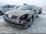 Nissan Maxima Se/Sl 1N4BA41E26C843993 снимка