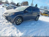 Toyota Rav4 Le 2T3BFREV1FW384732 снимка