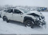Subaru Outback Wilderness 4S4BTHTD1N3173783 снимка