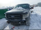 Ford F-150 Fx4 1FTFW1EF4DFB85538 снимка