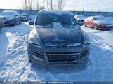 Ford Escape 1FMCU0GXXEUE42879 снимка