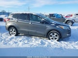 Ford Escape 1FMCU0GXXEUE42879 снимка