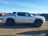 Toyota Tacoma Double Cab/Sr/Sr5/Trd Sport/Trd Off Road/Trd Pro 5TFCZ5AN2LX242231 photo