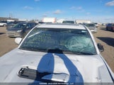 Toyota Tacoma Double Cab/Sr/Sr5/Trd Sport/Trd Off Road/Trd Pro 5TFCZ5AN2LX242231 снимка