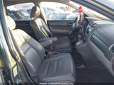 Honda Cr-V Exl 5J6RE48719L801575 photo