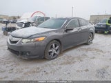 Acura Tsx Premium/Technology Package JH4CU2F61AC800281 снимка