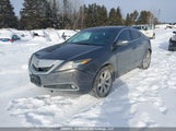 Acura Zdx Technology 2HNYB1H44AH000097 снимка