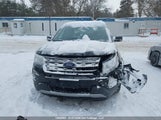 Ford Explorer Xlt 1FM5K7D82HGD28348 fotografie